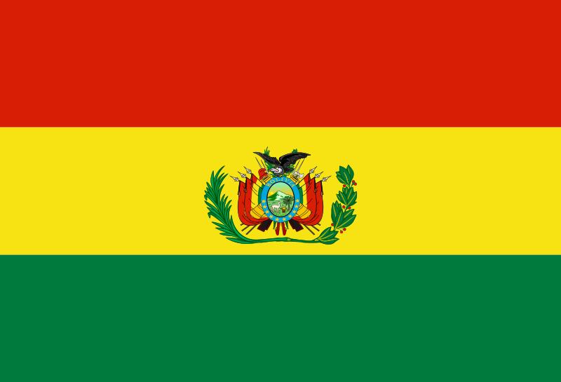 Bolivia: Parlamentul autorizează organizarea de noi alegeri prezidenţiale şi legislative