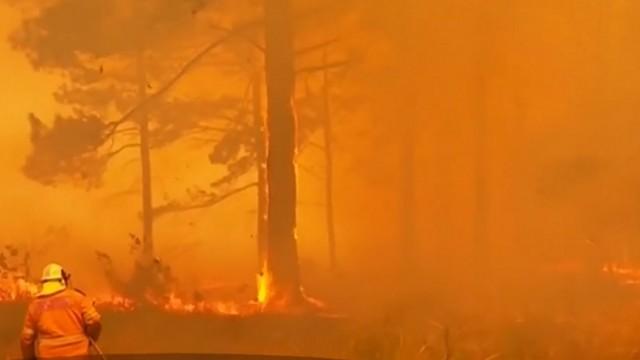Incendii devastatoare în Australia. Un nor toxic a învăluit capitala