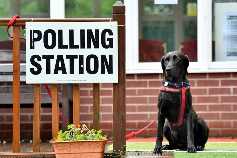 UK: Alegeri generale cruciale pentru Brexit