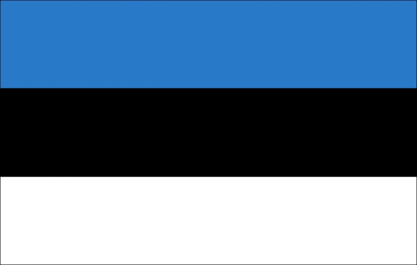 Preşedinta Estoniei a prezentat scuze, după ce un ministru a prezentat-o pe şefa guvernului Finlandei drept „o vânzătoare”