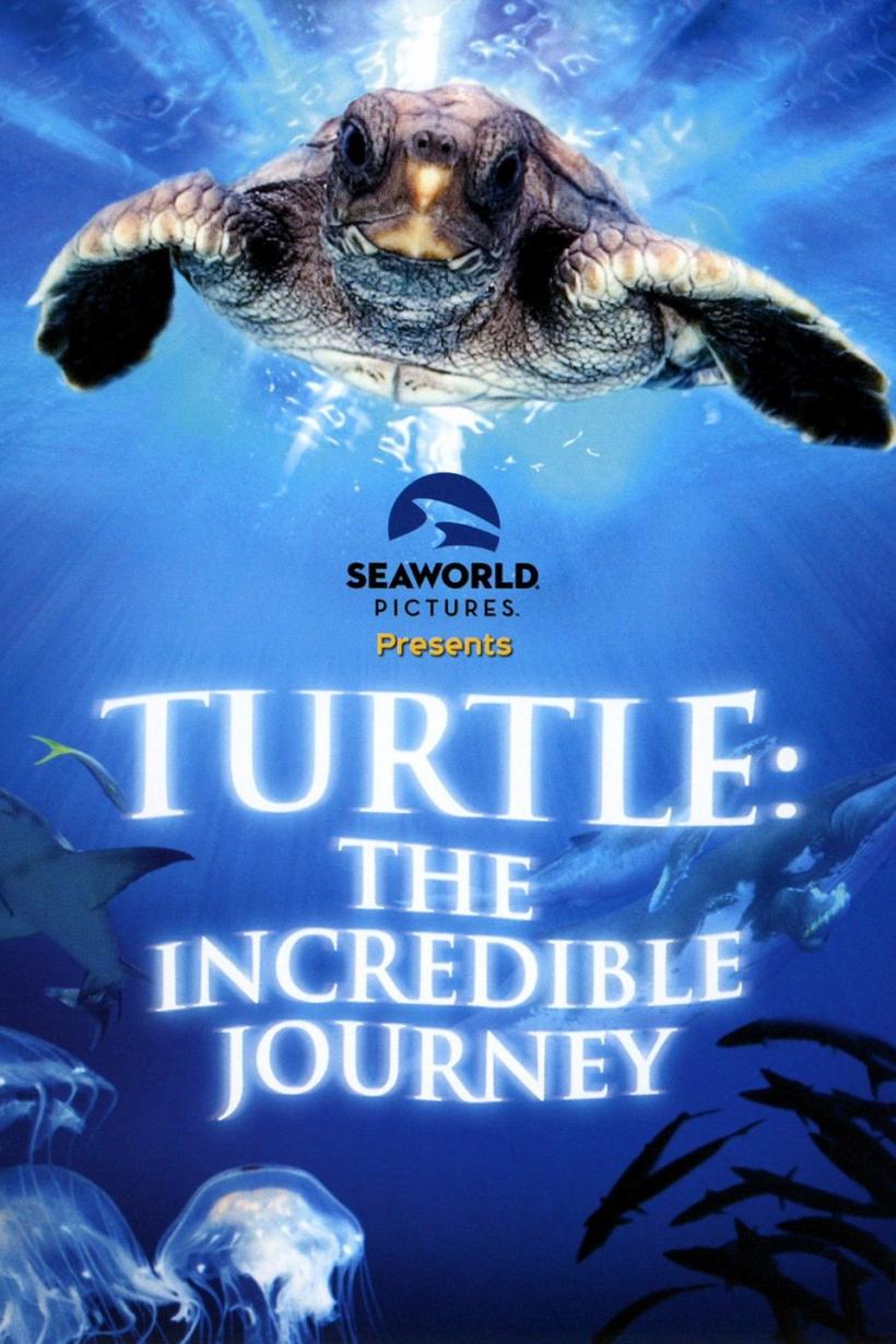 Hellen Mirren și Olivia Colman își împrumută vocile unor țestoase în scurtmetrajul animat &quot;Turtle Journey&quot;