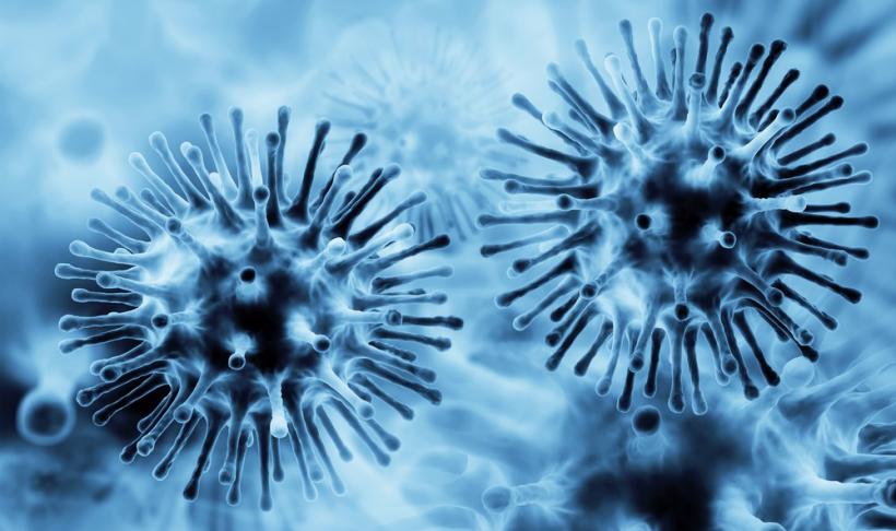 Gripa a fost confirmată la trei elevi de la şcoli din Slatina