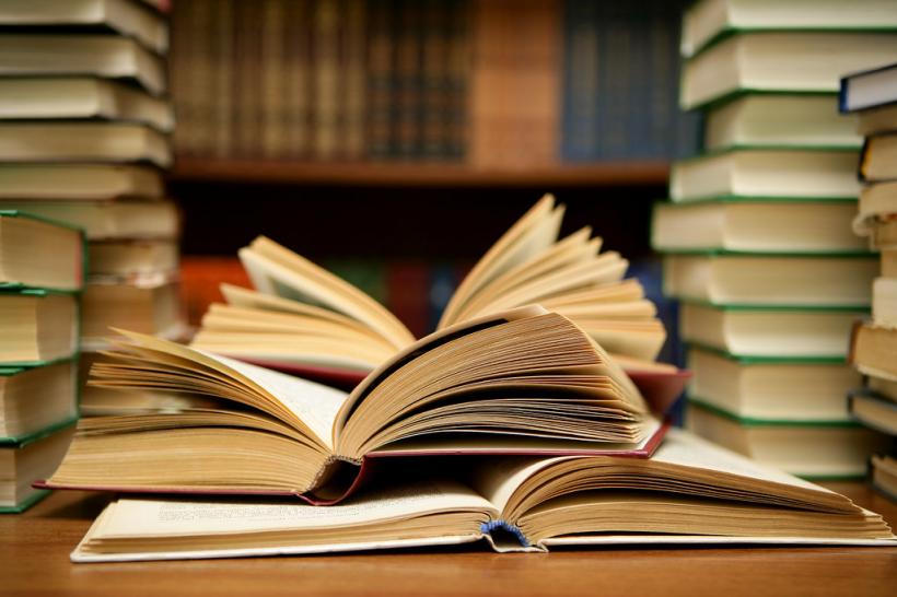 CCR a declarat neconstituțională majorarea salariilor angajaților Bibliotecii Naționale și a Bibliotecii Academiei Române