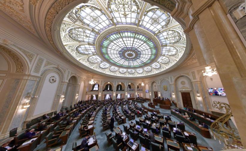 Senatul a respins OUG privind organizarea alegerilor parlamentare anticipate