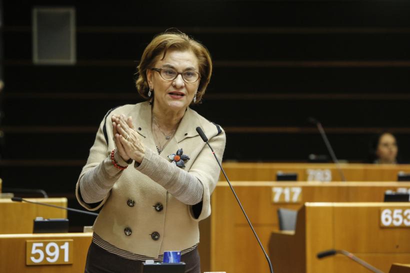 Europarlamentara Maria Grapini îi cere premierului să ia măsuri pentru oprirea tăierilor de păduri