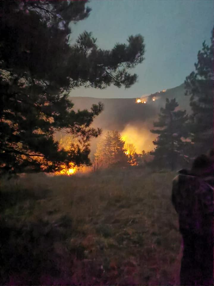 Mai multe incendii de vegetație s-au produs în județul Hunedoara. Peste 130 de hectare de teren, cuprinse de flăcări