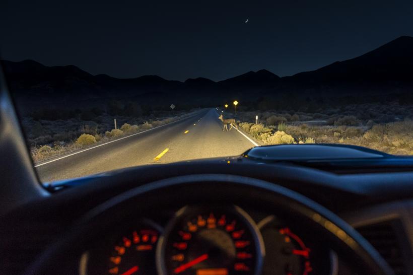 Sondaj îngrijorător: 70% dintre șoferi nu văd bine noaptea