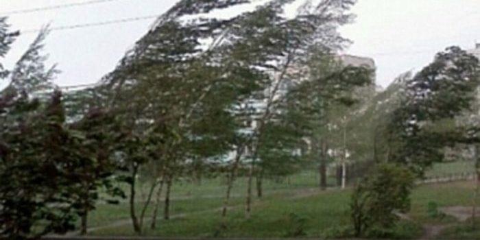 Alertă de la meteorologi: Cod galben de vânt în 31 de județe din țară