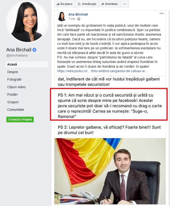 Replici contondente între fostul ministru Birchall și președintele CJ Neamț, Ionel Arsene