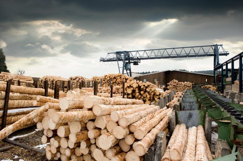 Sprijin de 200 milioane euro din fonduri europene pentru industria lemnului