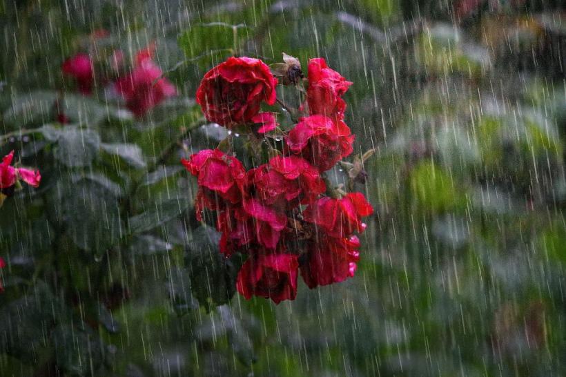 Alertă de la meteorologi: Codul Galben de ploi, prelungit până luni, pentru toată țara