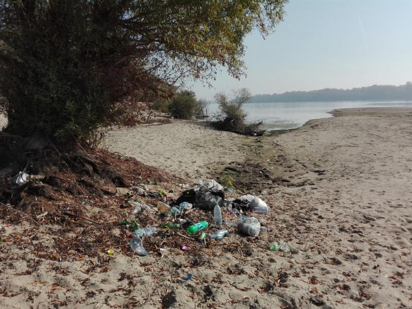 De Ziua Dunării, voluntarii se pregătesc să adune plastic