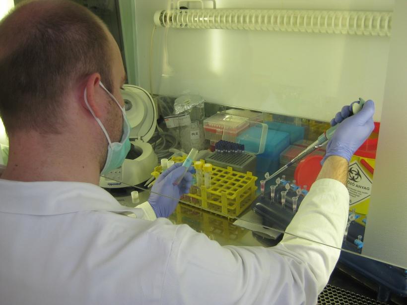 Medic: Testați anticorpii pacienților vindecați de COVID-19 