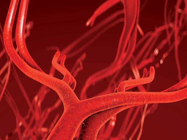 Vasele de sânge îmbătrânesc diferit la femei față de bărbați. Pentru ce boli riscul e crescut?