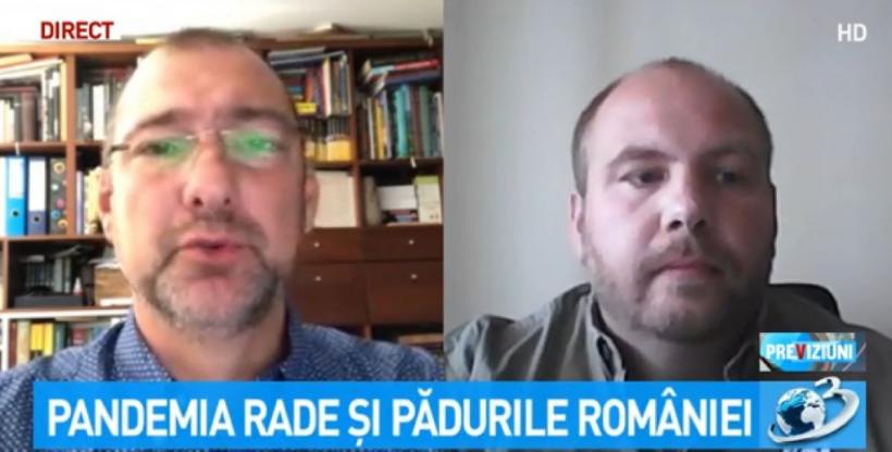 Video. Jurnalul de economie. Pandemia rade și pădurile din România