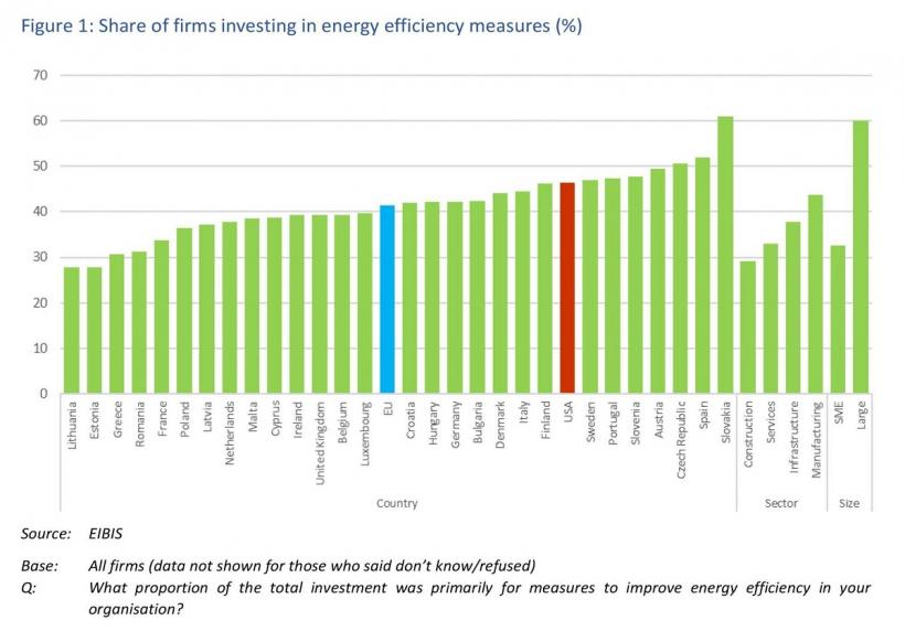 Repetenţii UE la eficienţa energetică