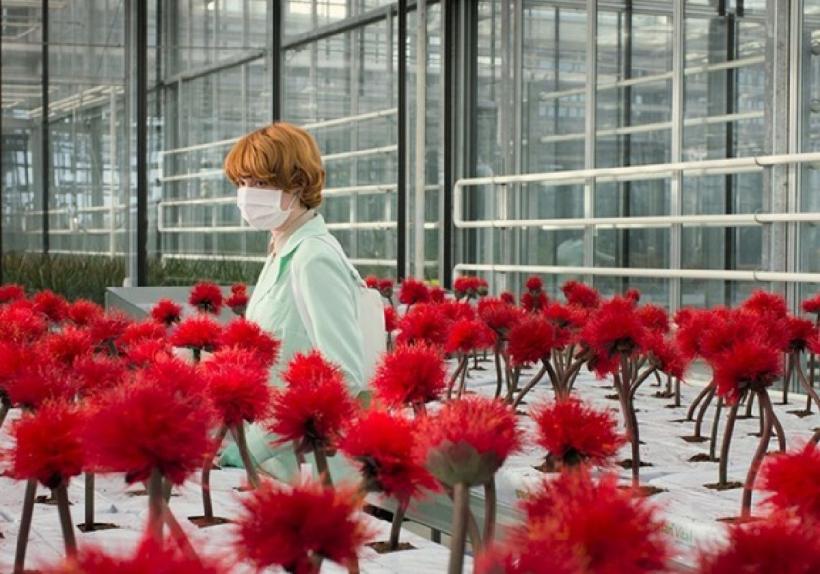 Weekend cu filme de pe croazetă  aduse de Caravana Les Films de Cannes à Snagov  - Cinema în aer liber pe 8 și 9 august la Event Park Snagov – 18718095