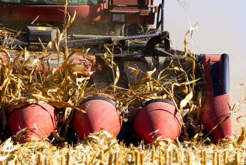 România capitulează în faţa invaziei de mâncare: importurile agroalimentare doboară record după record
