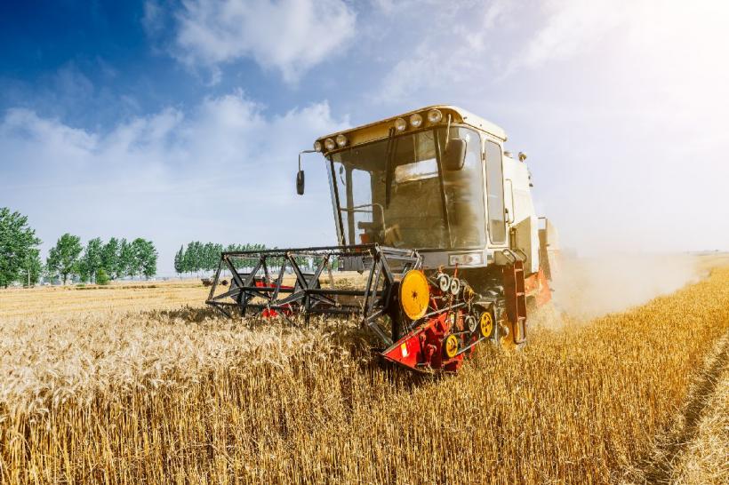 UE pierde poziția nr.1 în exportul mondial de grâu din cauza României
