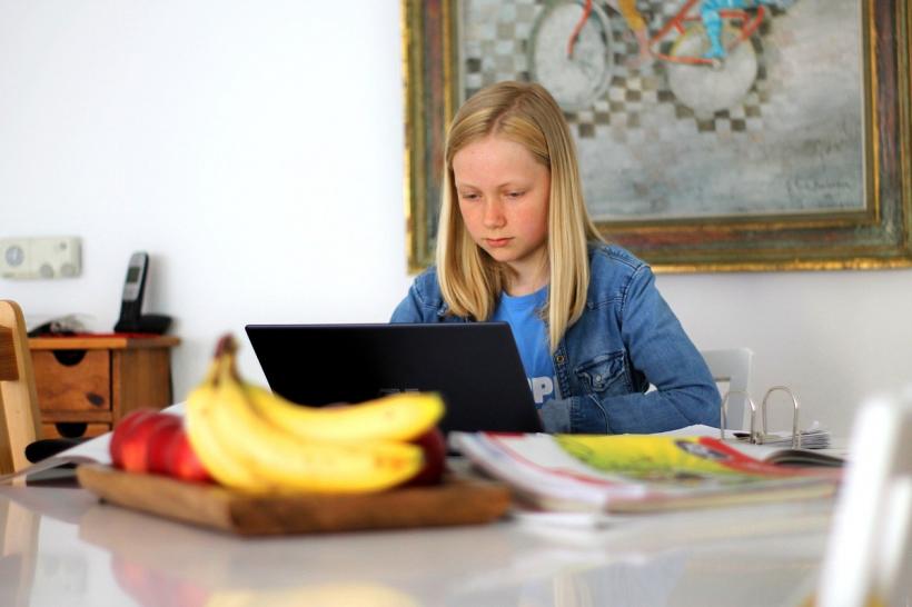 Pericolele școlii online. Părinții și profesorii cer ajutorul Ministerului de Interne