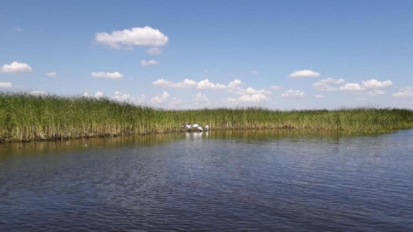 Toamna în Delta Dunării, la pescuit și relaxare