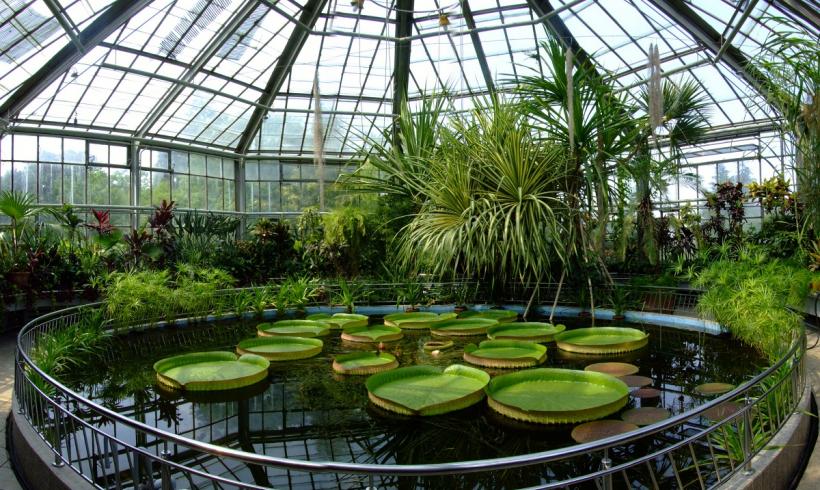 Grădina Botanică împlinește 160 de ani