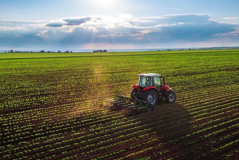 România este a șaptea țară la producția agricolă din UE