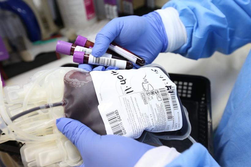 Guvernul vrea modificarea legislației pentru a stimula donarea de sânge și de plasmă