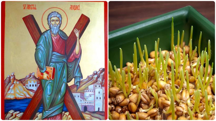 Semnificația grâului de Sfântul Andrei, de la agricultură la misticism