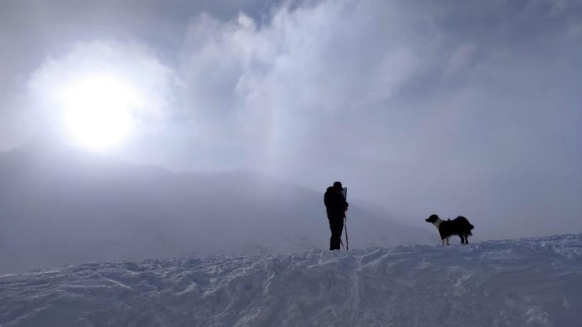 Salvatorii din avalanșe. Câinii, de 30 de ori mai eficienți decât oamenii