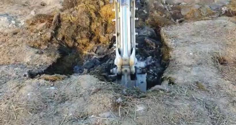 Dezastrul ecologic de la Smârdan: Bomba explodează în curtea Gărzii de Mediu