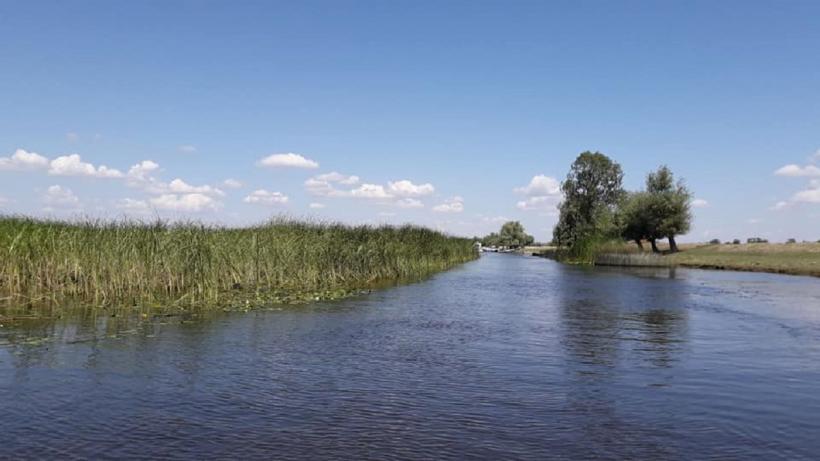 Acțiune în Delta Dunării pentru salvarea unui bărbat care a căzut în apă