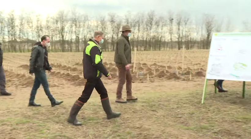 VIDEO. Klaus Iohannis participă la prima acțiune de împădurire în zona deșertificată din sudul României