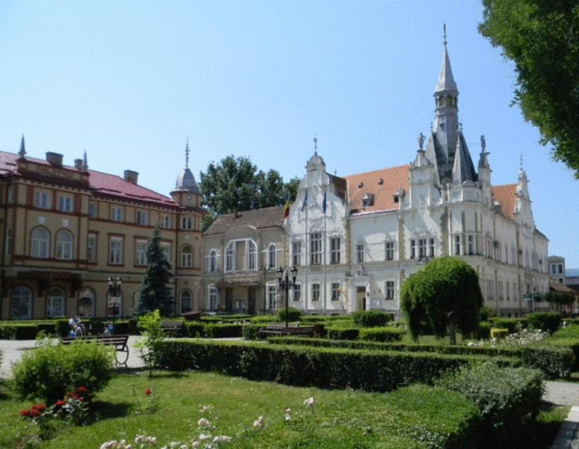 Dublu nepotism marca PNL la Agenția Națională pentru Arii Naturale Protejate 18742947