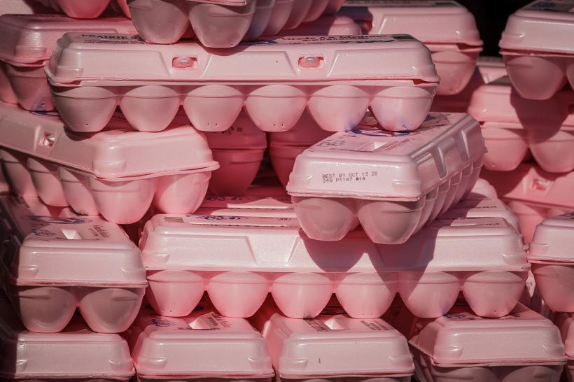 Sute de mii de ouă contaminate cu Salmonella, depistate într-un centru de ambalare din București