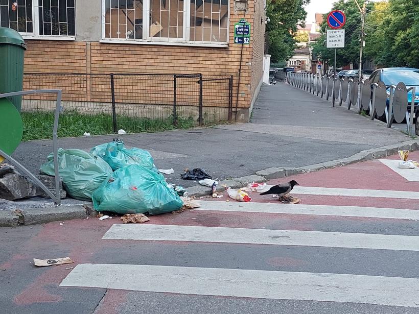 Scandalul gunoiului din Sectorul 1: Poliția Locală a amendat Romprest