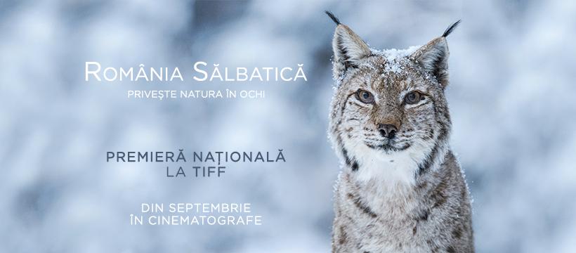 România Sălbatică, cel mai vast proiect de film documentar desfășurat în țara noastră, va avea premiera națională la TIFF