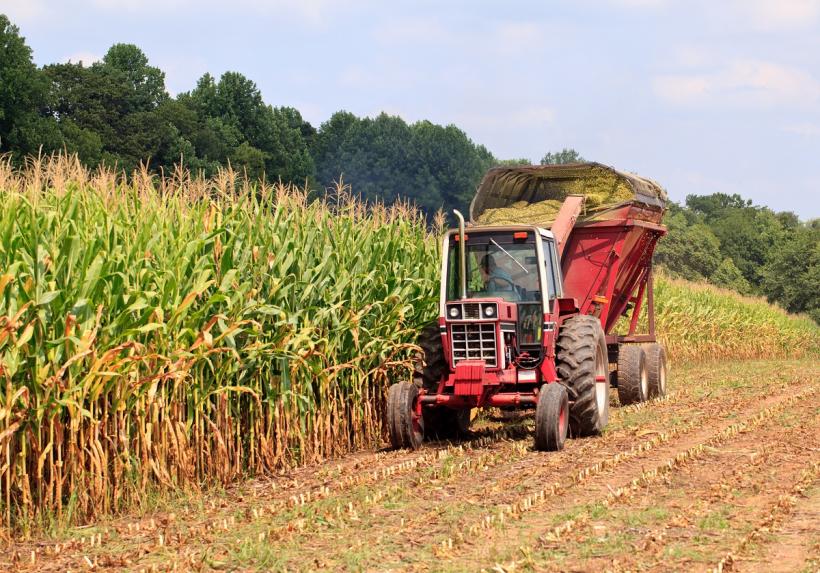 BEI acordă finanțare de 7,5 milioane de euro pentru IMM-urile agricole