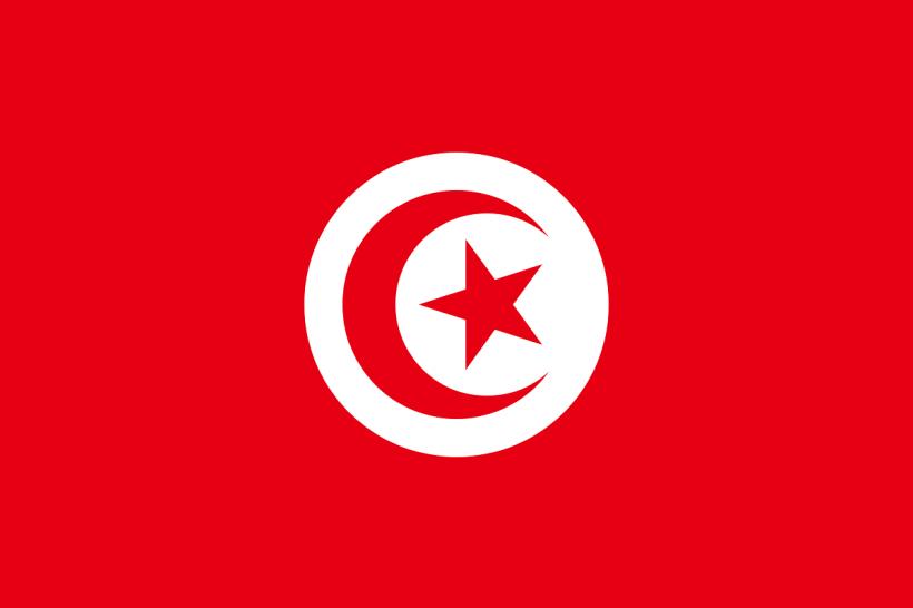 Statele Unite ale Americii fac presiuni asupra Tunisiei pentru a reveni pe calea democraţiei