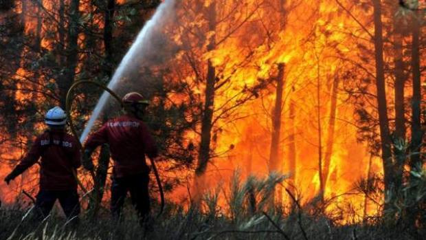 Pompierii români luptă cu flăcările în zona Spathari, pe insula grecească Evia