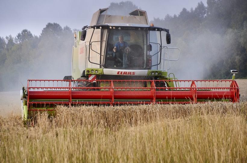 Preţul grâului a ajuns la 290 euro/tonă pe Bursa Euronext de la Paris, plus 50% faţă de anul trecut