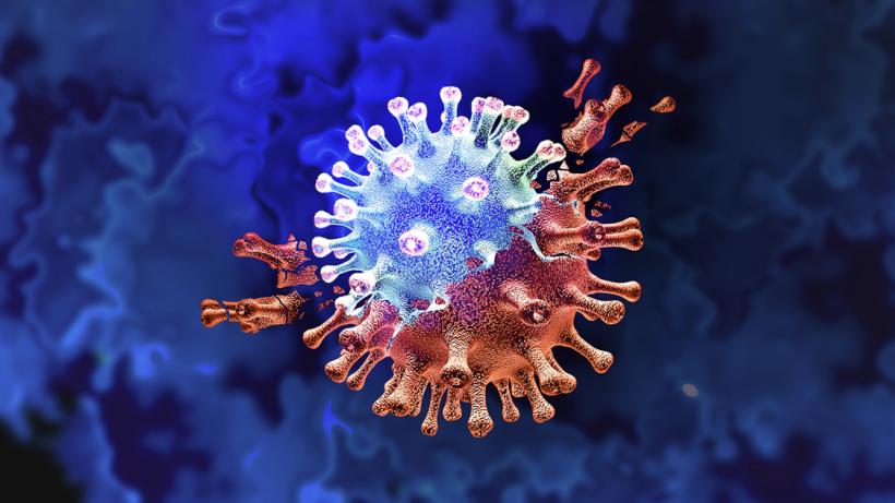 Coronavirus/varianta Omicron: Primul caz confirmat în Spania
