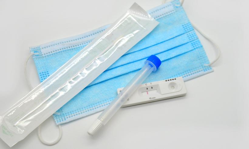 Certificatul verde la locul de muncă și testarea pe banii angajaților: raiul infractorilor și vietnamezi în școli 18770388