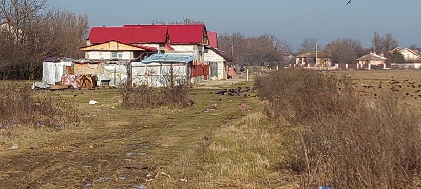 Bolintin Vale - viața sub amenințarea cuțitului  18773487