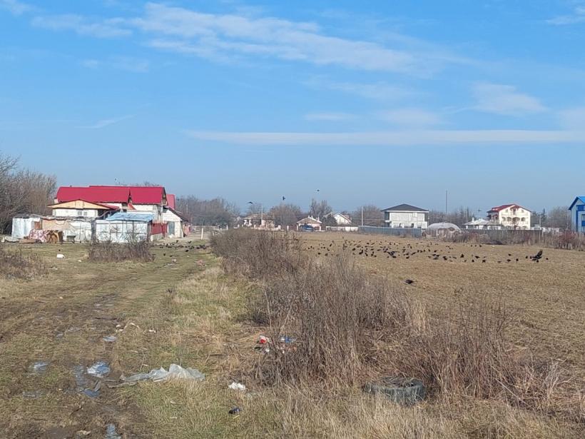 Bolintin Vale - viața sub amenințarea cuțitului  18773490