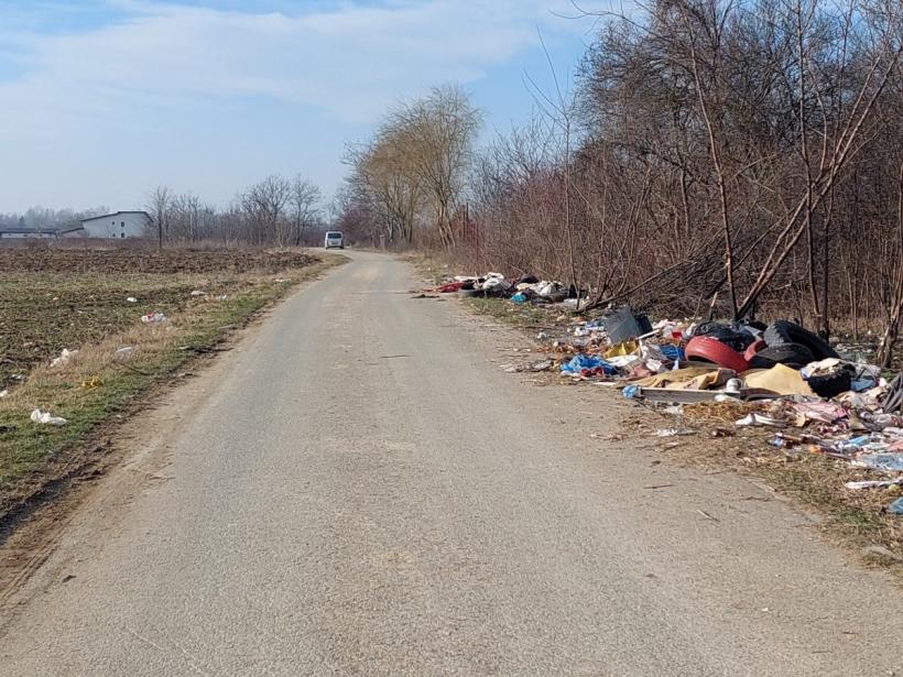 Bolintin Vale - viața sub amenințarea cuțitului  18773491