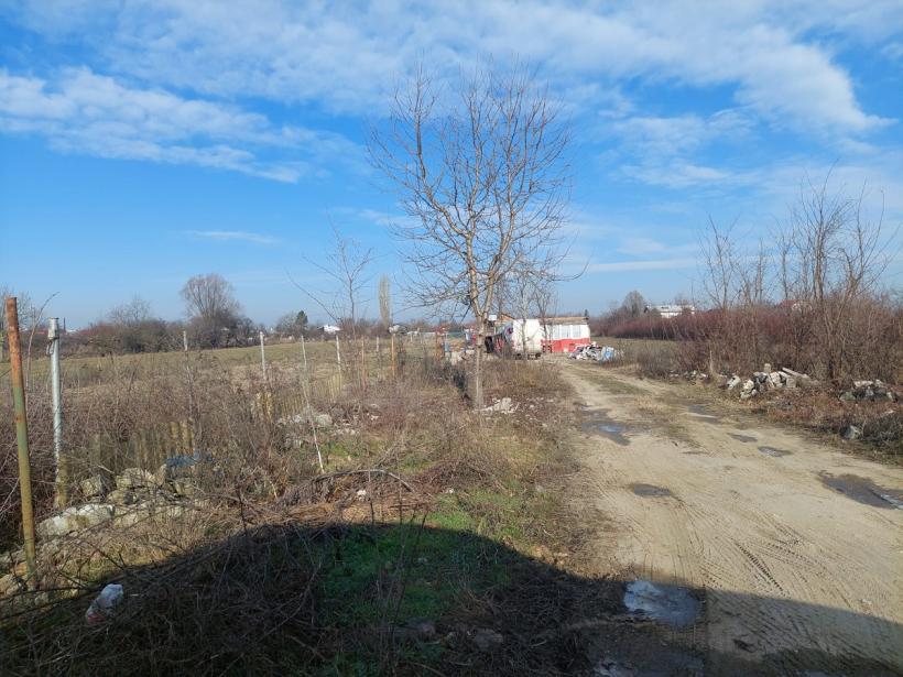 Bolintin Vale - viața sub amenințarea cuțitului  18773492