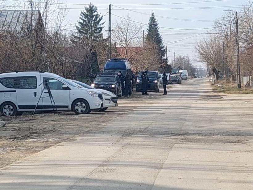 Bolintin Vale - viața sub amenințarea cuțitului  18773494