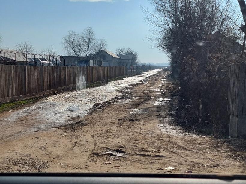 Bolintin Vale - viața sub amenințarea cuțitului  18773497