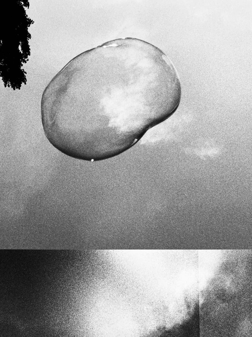 Finisaj: „de acolo de unde încă se poate vedea curbura pământului” 18773893